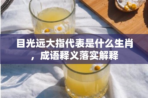 目光远大指代表是什么生肖，成语释义落实解释