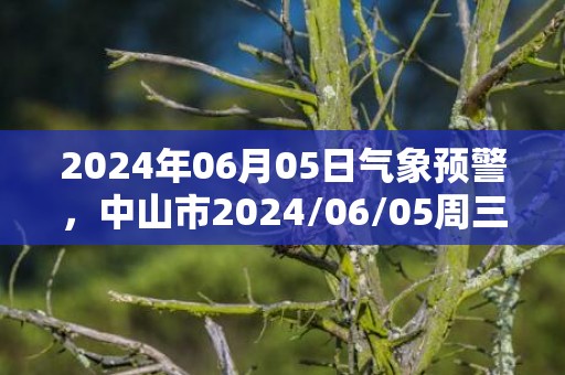 2024年06月05日气象预警，中山市2024/06/05周三大雨最高温度27度