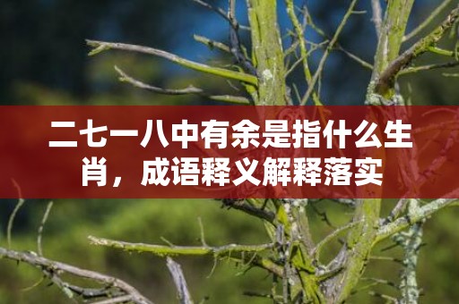 二七一八中有余是指什么生肖，成语释义解释落实
