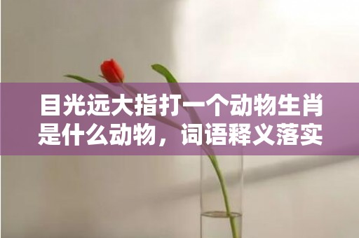 目光远大指打一个动物生肖是什么动物，词语释义落实解释插图