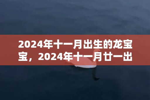2024年十一月出生的龙宝宝，2024年十一月廿一出生的男孩八字查询命理