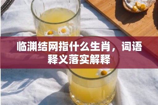 临渊结网指什么生肖，词语释义落实解释