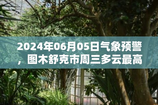 2024年06月05日气象预警，图木舒克市周三多云最高温度27度