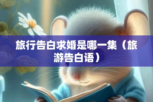 旅行告白求婚是哪一集（旅游告白语）
