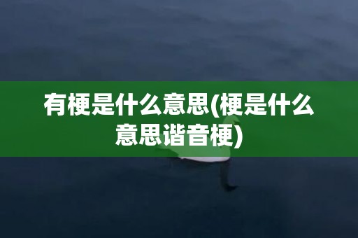 有梗是什么意思(梗是什么意思谐音梗)