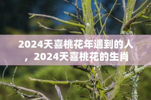 2024天喜桃花年遇到的人，2024天喜桃花的生肖