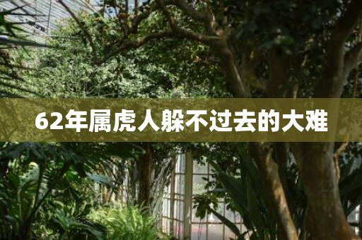 62年属虎人躲不过去的大难