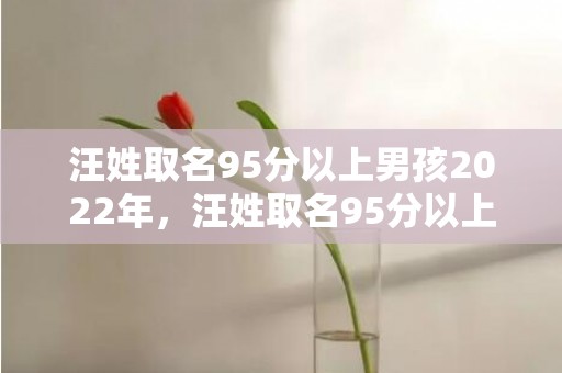 汪姓取名95分以上男孩2022年，汪姓取名95分以上男孩