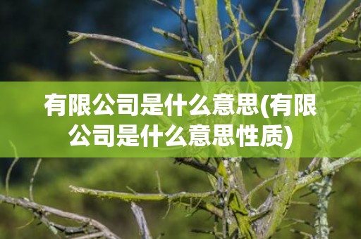有限公司是什么意思(有限公司是什么意思性质)