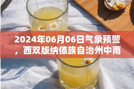 2024年06月06日气象预警，西双版纳傣族自治州中雨转小雨最高气温31度