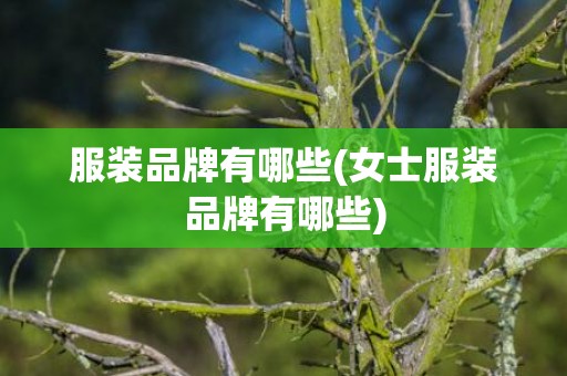服装品牌有哪些(女士服装品牌有哪些)
