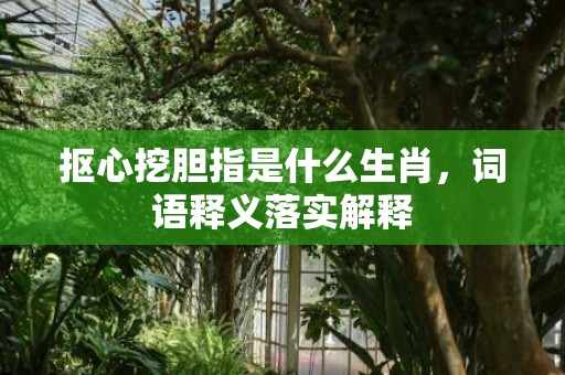 抠心挖胆指是什么生肖，词语释义落实解释