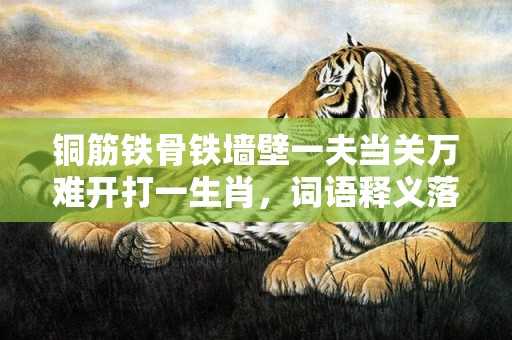 铜筋铁骨铁墙壁一夫当关万难开打一生肖，词语释义落实解释插图