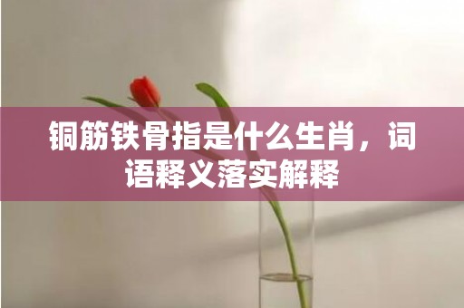铜筋铁骨指是什么生肖，词语释义落实解释插图