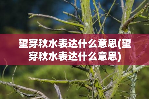 望穿秋水表达什么意思(望穿秋水表达什么意思)