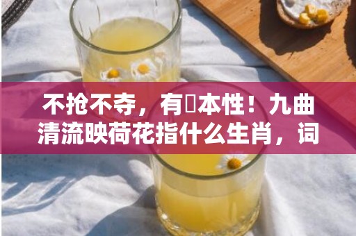 不抢不夺，有違本性！九曲清流映荷花指什么生肖，词语释义落实解释插图