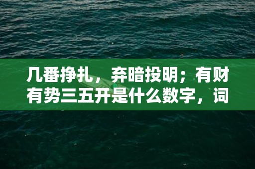 几番挣扎，弃暗投明；有财有势三五开是什么数字，词语释义落实解释