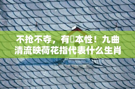 不抢不夺，有違本性！九曲清流映荷花指代表什么生肖，词语释义落实解释插图