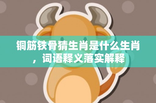 铜筋铁骨猜生肖是什么生肖，词语释义落实解释