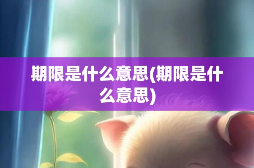 期限是什么意思(期限是什么意思)