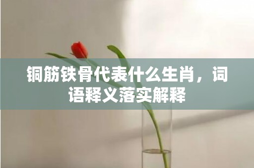 铜筋铁骨代表什么生肖，词语释义落实解释