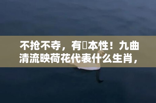  不抢不夺，有違本性！九曲清流映荷花代表什么生肖，词语释义落实解释