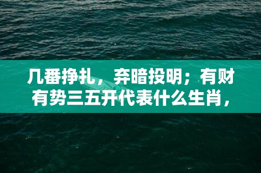 几番挣扎，弃暗投明；有财有势三五开代表什么生肖，词语释义落实解释