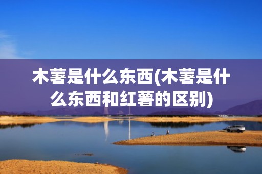 木薯是什么东西(木薯是什么东西和红薯的区别)