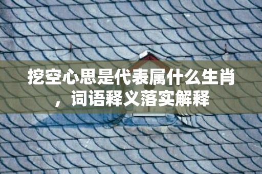 挖空心思是代表属什么生肖，词语释义落实解释