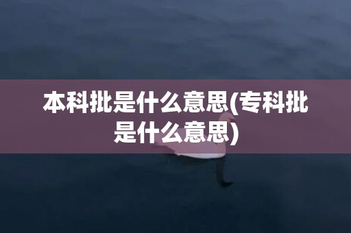 本科批是什么意思(专科批是什么意思)