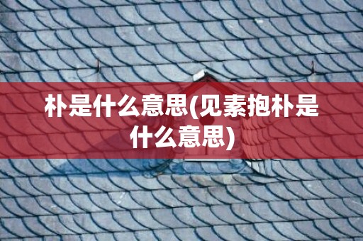 朴是什么意思(见素抱朴是什么意思)