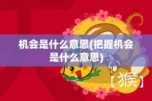 机会是什么意思(把握机会是什么意思)