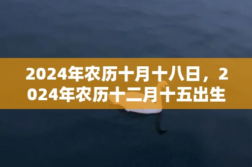 2024年农历十月十八日，2024年农历十二月十五出生的女孩子的命运如何