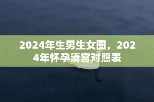 2024年生男生女图，2024年怀孕清宫对照表