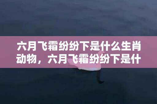 六月飞霜纷纷下是什么生肖动物，六月飞霜纷纷下是什么生肖