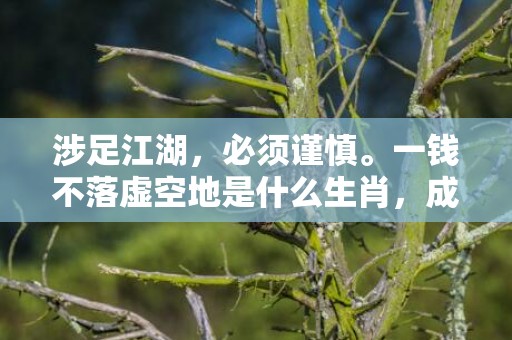 涉足江湖，必须谨慎。一钱不落虚空地是什么生肖，成语释义解释落实插图