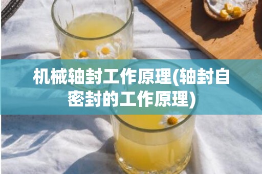 机械轴封工作原理(轴封自密封的工作原理)