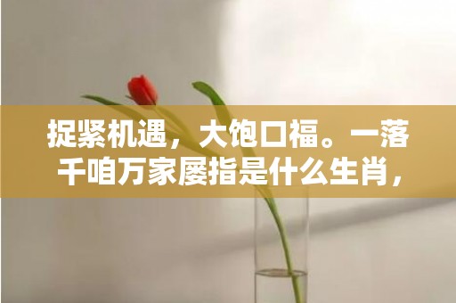 捉紧机遇，大饱口福。一落千咱万家屡指是什么生肖，成语释义解释落实插图