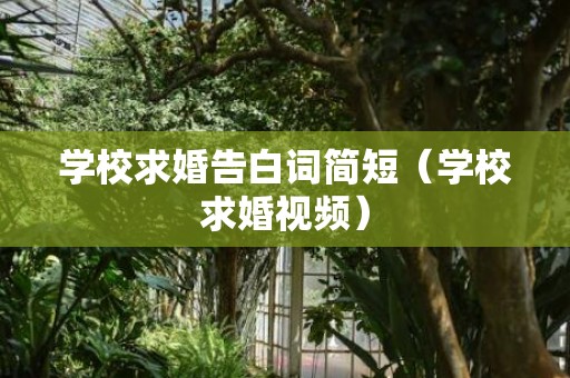 学校求婚告白词简短（学校求婚视频）