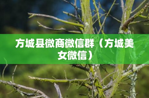 方城县微商微信群（方城美女微信）