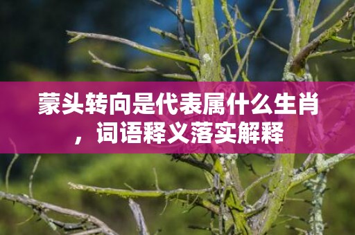 蒙头转向是代表属什么生肖，词语释义落实解释