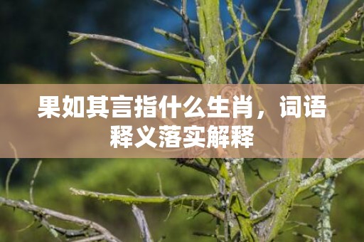 果如其言指什么生肖，词语释义落实解释