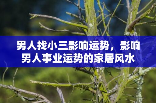 男人找小三影响运势，影响男人事业运势的家居风水