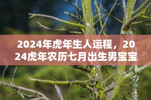 2024年虎年生人运程，2024虎年农历七月出生男宝宝起什么名字好