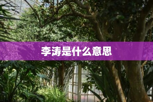 李涛是什么意思