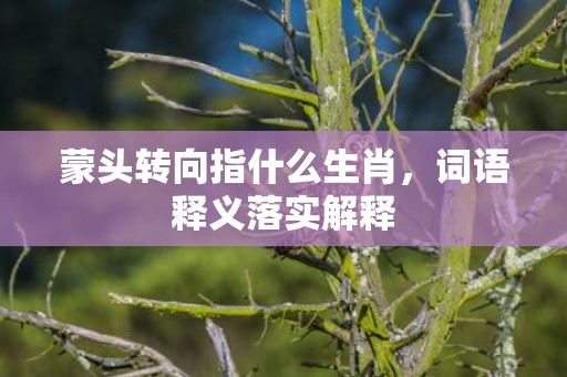 蒙头转向指什么生肖，词语释义落实解释插图
