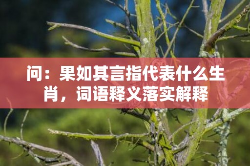 问：果如其言指代表什么生肖，词语释义落实解释插图