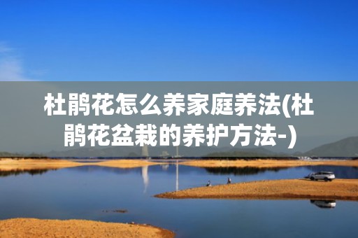 杜鹃花怎么养家庭养法(杜鹃花盆栽的养护方法-)