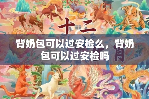 背奶包可以过安检么，背奶包可以过安检吗