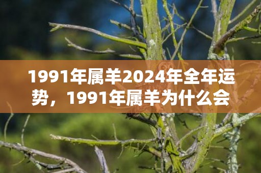 1991年属羊2024年全年运势，1991年属羊为什么会晚婚
